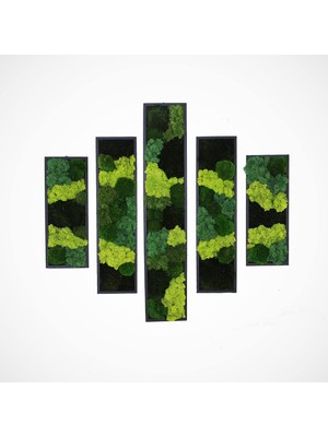 Rafta Tr Preserved Moss Wall Hanging Decor