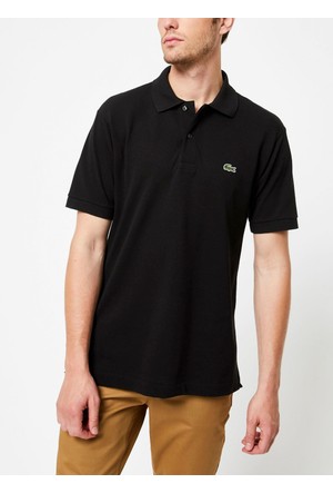 Lacoste T Shirt ve Modelleri Hepsiburada