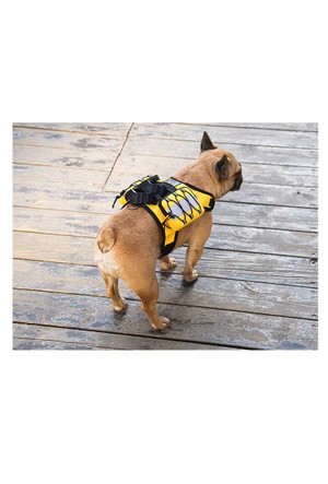 Eski kunlarda bolgani kabi porno