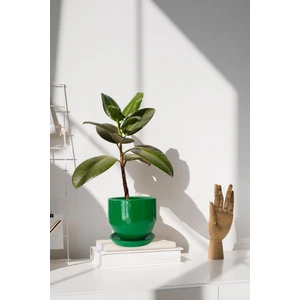 Tabaklı Çimen Çömlek Saksı 19X19 cm