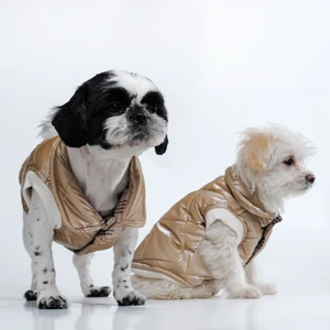 Peti Tailor  Küçük ve Orta Irk Dore Yelek Jesıca