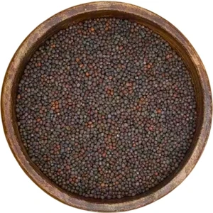 Pauls Micro Farm Ilaçsız Doğal Brokoli Tohumu 10 Gr