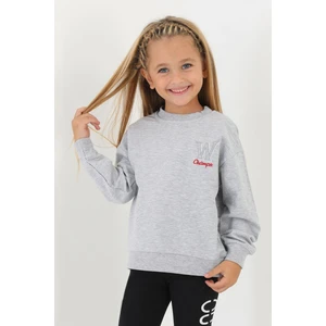 Bisiklet Yaka Uzun Kol W Baskılı Gri Renk Sweatshirt