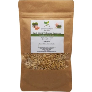 Pauls Micro Farm Kedi Çimi Tohum Karışımı 500 gr