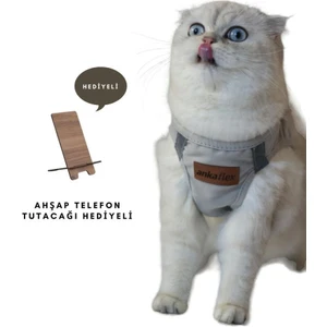 Kedi Göğüs Tasması Kedi Gezdirme Tasması Kediler Için