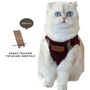 Ankaflex Kedi Göğüs Tasması Kedi Gezdirme Tasması Kediler Için