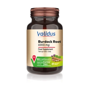 Burdock Root 1000 Mg 60 Capsules