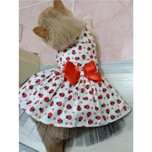 Uğur Böceği Desenli Papyonlu Kedi ve Köpek Kıyafeti Elbisesi