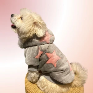 Biggie Küçük Irk Köpek Pofuduk Sweatshirt