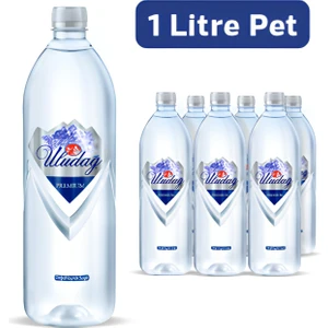 Su Premium Şişe 1 lt Paket Su