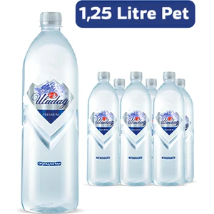 Su Premium Şişe 1.25 lt Paket Su