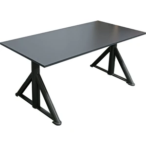 Lınak Çift Motor Elektrikli Yükseklik Ayarlı Masa Mekanizması