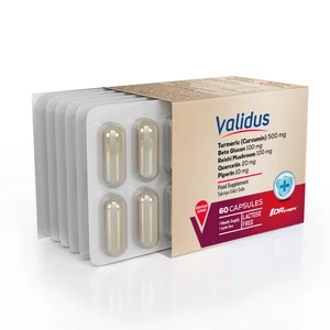 Curcumin 500 mg + Piperin + Inula Henelium + Astragalus + Quercetin + Reishi + Moringa 60 Capsules