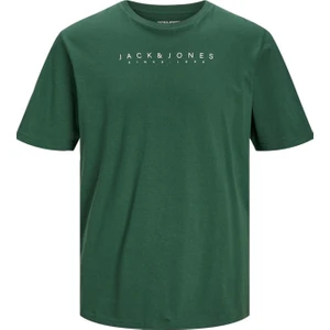 Jack & Jones Jjsetra Tee Ss Crew Neck 12247985 Yeşil