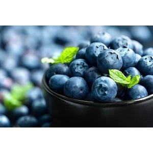 3 Adet Mavi Yaban Mersini Meyve Fidanı (50-60CM)