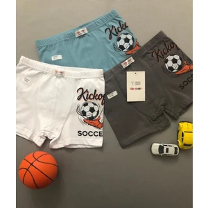 Toy Shop Erkek Çocuk Pamuklu Boxer 3lü