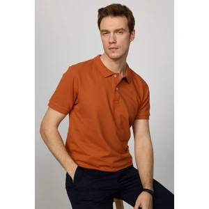 Erkek Slim Fit Dar Kesim  Pamuk Düz Pike Kahverengi Polo Yaka Tişört