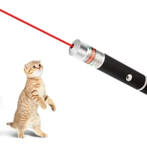 No Name Kedi Lazer Oyuncak 3 Aşamalı Kedi Tuvalet Kum Eğitim Oyuncağı