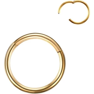 Cerrahi Çelik 316L Tam Halka Kıkırdak Tragus Helix Piercing