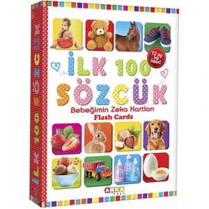 Diytoy Ilk 100 Sözcük Eğitici Flash Cards