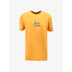 Discovery Expedition Turuncu Erkek Bisiklet Yaka Relaxed Fit Baskılı T-Shirt D4SM-TST3258
