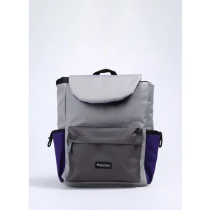 Discovery Expedition Gri - Mor Unisex 30X40X17 cm Sırt Çantası Archer-Back