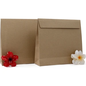 Repro Design Premium Kraft 25 x 23 x 7 cm Ağzı Bantlı 2 Adet Hediye Zarfı, Hediye Paketi, Hediye Poşeti