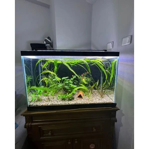 Shark Akvaryum Aydınlatma Fullspectrum 4 Renk Armatür 2 Sıra Osram Ledli 85 Cm (90-95 cm Uyumlu-2640 lümen)