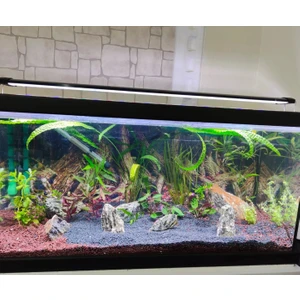 Akvaryum Aydınlatma 75 cm 3 Sıra Osram Ledli ( 80-85 cm Akvaryumlar İçin Uygun-3465 lümen)