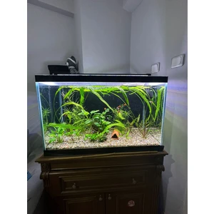 Shark Akvaryum Aydınlatma Fullspectrum 4 Renk Armatür 2 Sıra Osram Ledli 45 Cm(50-55 cm Uyumlu-1320 lümen)