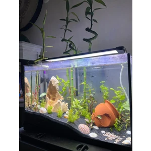 Akvaryum Aydınlatma 95 cm 2 Sıra Osram Ledli (100-105 cm Uygun-2970 lümen)