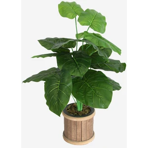 Yapay Çiçek Deposu Silindir Ahşap Saksıda Yapay 18 Dallı Difenbahya 75 cm