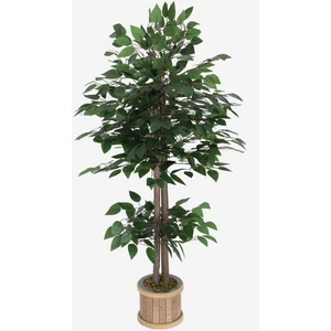 Yapay Çiçek Deposu Benjamin Ağacı 120 cm Extra Yoğun Yaprak (Ahşap Saksılı)
