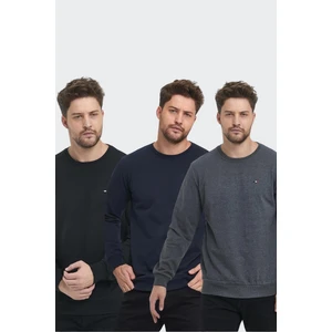 Erkek Siyah-Lacivert-Antrasit Bisiklet Yaka Nakış Detaylı Regular Fit 3'lü Sweatshirt