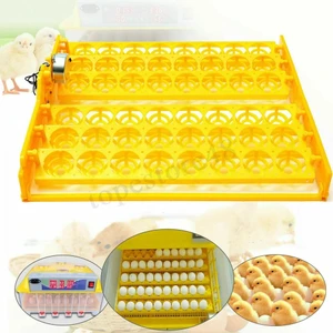 Shanhua Shop 220V 56-Yumurta Kuluçka Makinesi Turner Tepsi Tavuk Ördek Kaz Kuşları Kuluçka Makinesi Brooder (Yurt Dışından)
