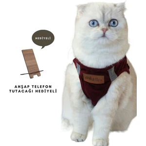 Ankaflex Kedi Göğüs Tasması Kedi Gezdirme Tasması Kediler Için Özel Üretim Yeni Nesil (Tasma Dahil)