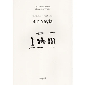 Bin Yayla