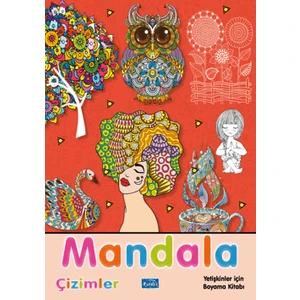 Mandala Çizimler