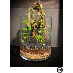 Denizli El Imalati 19 cm Genişlik 40 cm - Akvaryum El Işciliği Silindir Vazo Cam Kalın Taban