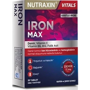 Iron Max 17 Mg 30 Tablet x 3 Kutu