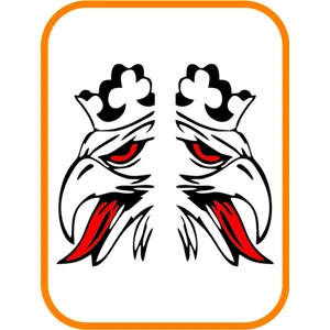 Eyba Sticker Kral Kartal Siyah 2 Adet Sağ ve Sol Ticari Araç Oto Sticker 40X20 cm Siyah