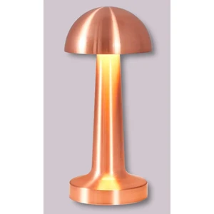 Ithink Dekoratif LED Masa Lambası LS-650