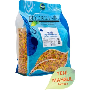 Organik Çorbalık Tahıl Karışımı Üçlü 2,5kg
