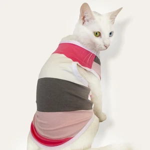 Mega Stripes Atlet Kedi Kıyafeti Kedi Elbisesi M