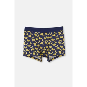 Lacivert 5210 Pamuk Desenli Boxer