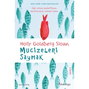 Mucizeleri Saymak - Holly Goldberg Sloan