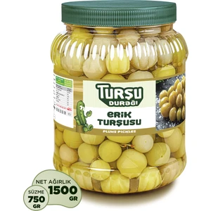 Turşu Durağı Erik Turşusu