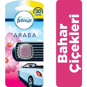 Bahar Çiçekleri Araba Kokusu