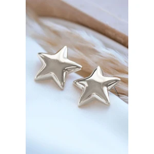 Silver Parlak Yıldız Küpe