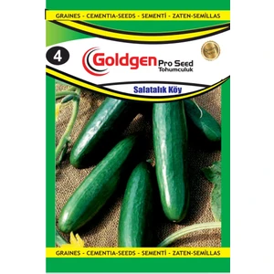 Kademgiller Köy Salatalık Tohumu